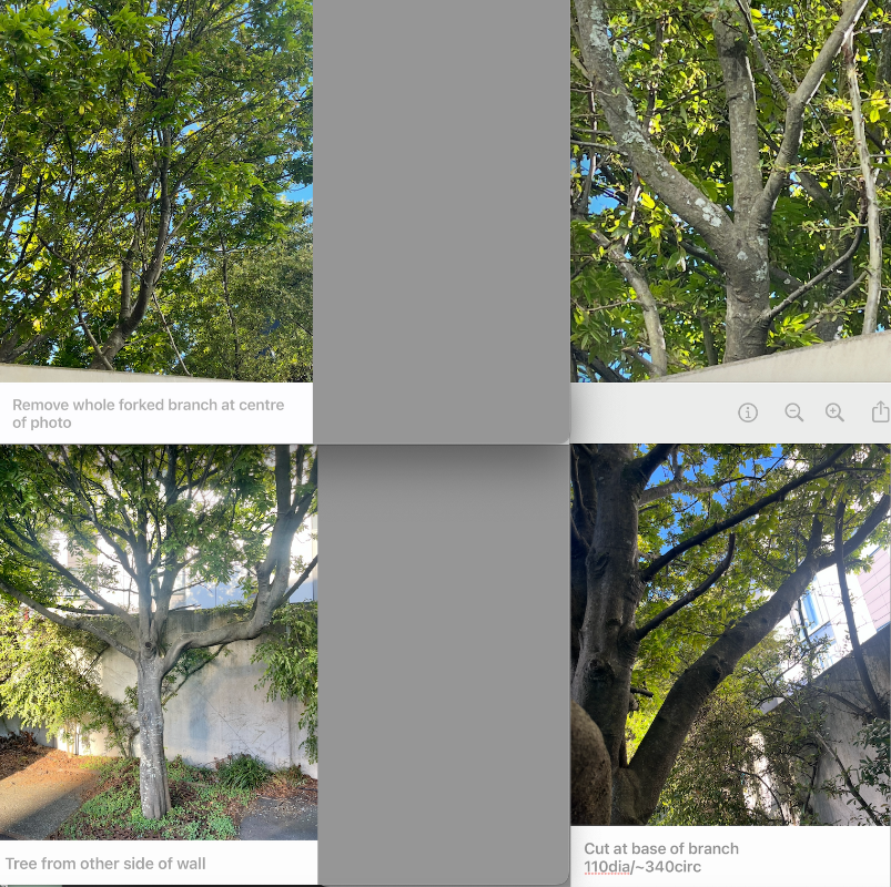 https://ezypeazy-prod-content.s3.ap-southeast-2.amazonaws.com/task-picture/32079677012f55f7e9ec2015-20260518.png