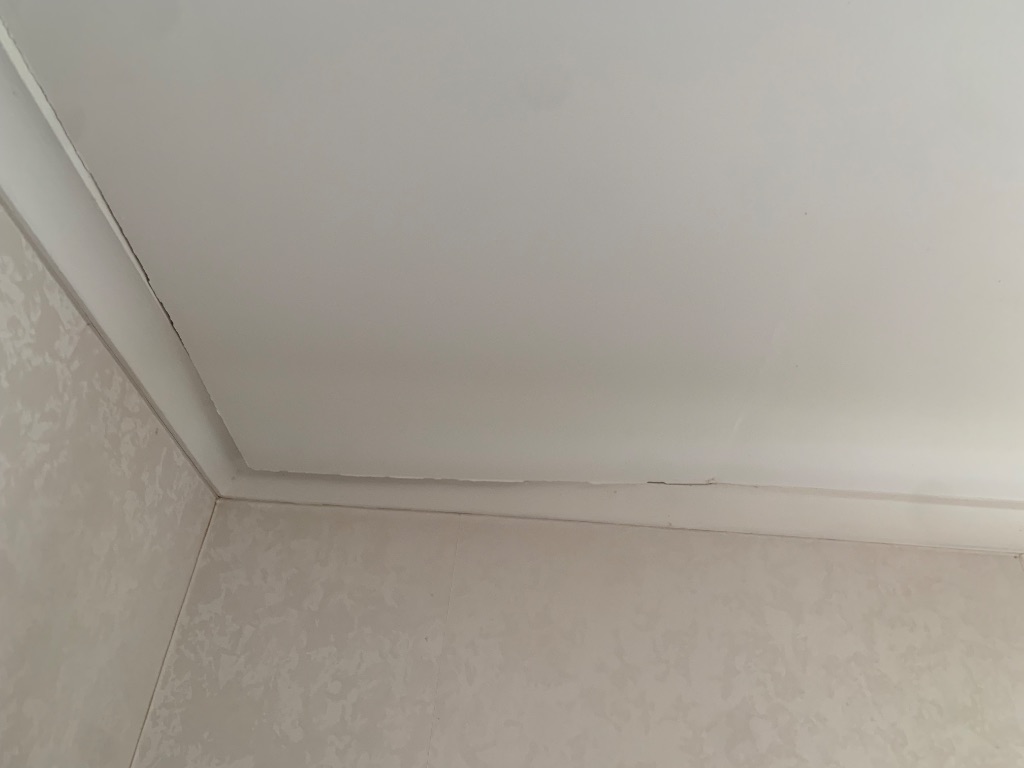 https://ezypeazy-prod-content.s3.ap-southeast-2.amazonaws.com/task-picture/b2c283b4bcc3a5b11b07fb47-20260803.jpeg