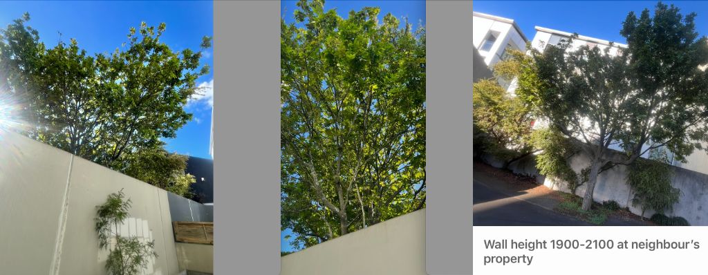 https://ezypeazy-prod-content.s3.ap-southeast-2.amazonaws.com/task-picture/f1cb02cc3b2e28419f387301-20260518.png